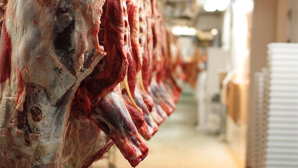 Exportaciones de carne argentina - Frigorífico
