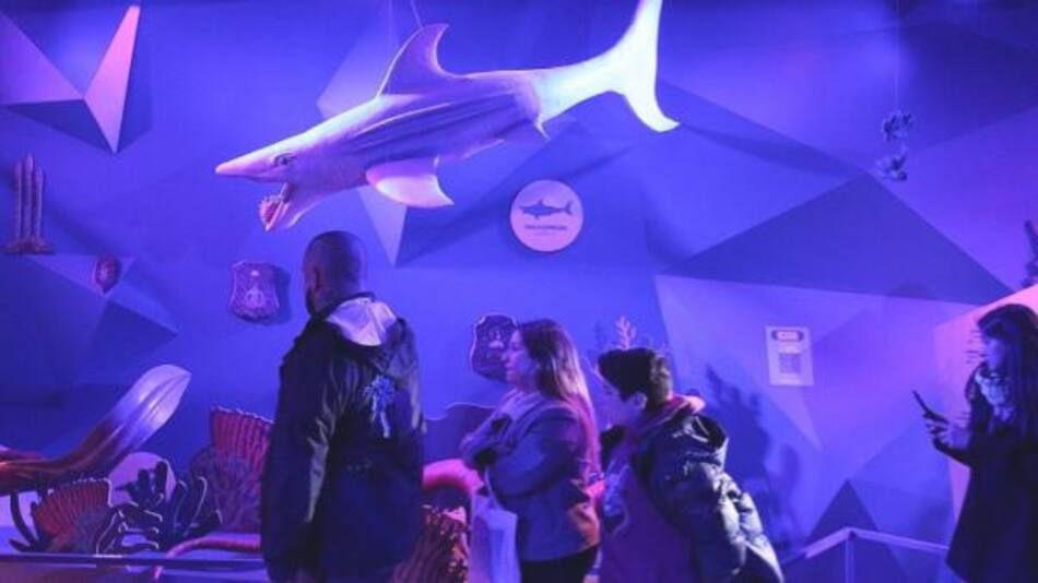 La Estación Oceánica Ecoparque fue una de las más visitadas en la Noche de los Museos.Foto: NA.