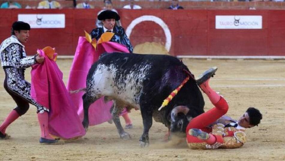 Torero muerto en festival
