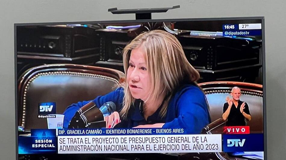 Graciela Camaño, Diputada, NA, DTV